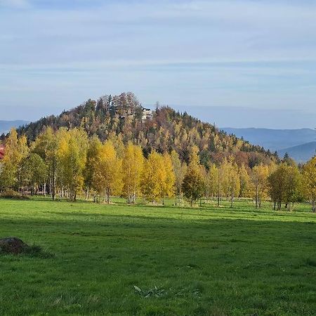 Rezydencja Green Hill - Ekskluzywny Dom W Karpaczu エクステリア 写真