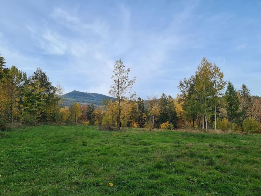 Rezydencja Green Hill - Ekskluzywny Dom W Karpaczu エクステリア 写真